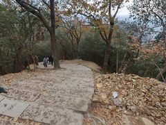 -灵顺寺