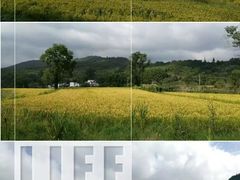-塔川景区