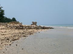 -贝壳沙滩