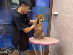 -FAELING PETS美天灵宠物(富力广场店)