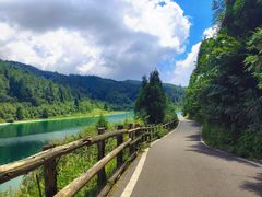-武陵山森林公园