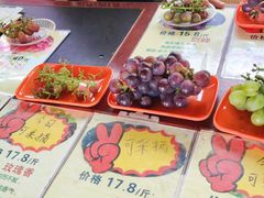 -马陆小张葡萄园农家乐