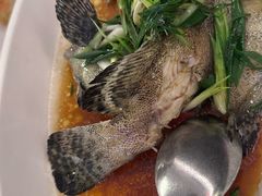 -皇朝尊会(龙之梦大酒店)