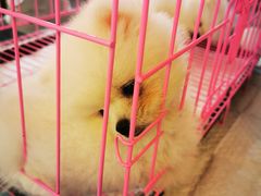 -万达广场(北京槐房店)