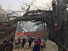 -大平台龙居瀑布旅游区