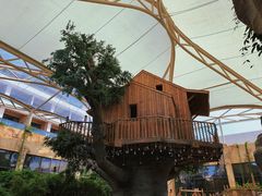 -杭州开元森泊度假乐园