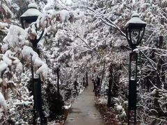 -西安秦岭野生动物园