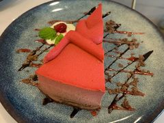 -飞行喵MR PILOT|猫舍·猫咖(静安大融城店)