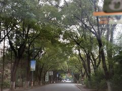 -上海怡沁园度假酒店