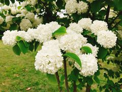 -白塘生态植物园