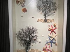 -青岛贝壳博物馆