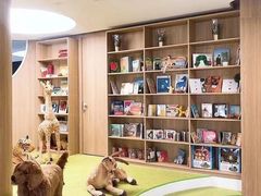 -BetterKids贝好国际托育中心(奥体旗舰店)