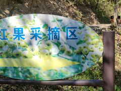 -大岭沟猕猴桃谷风景区