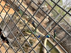 -石家庄市动物园