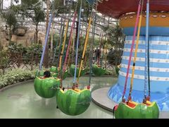 -南宫五洲植物乐园