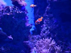 -石家庄极地海洋世界