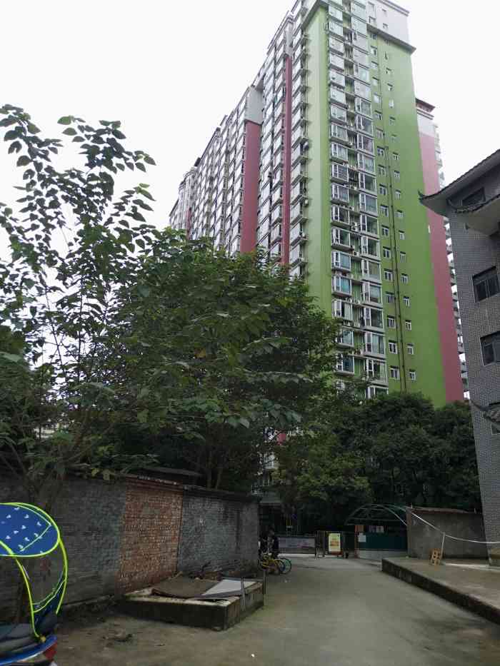 锦都3期-"从成都地铁宽窄巷子站走出来,首先看到的倒.