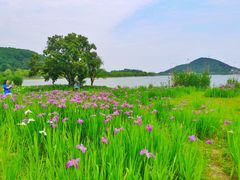 -南北湖风景区