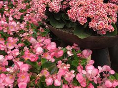 -宁波五龙潭景区