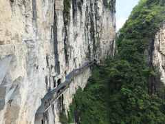 -蝶舞清江·恩施云顶景区(黄鹤峰林)