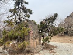 -沈阳鸟岛