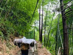 -天目山-昭明禅寺