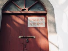 -上海佘山国家森林公园天马山园