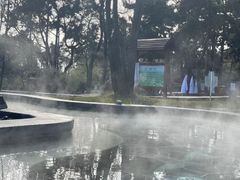 -东海森林温泉度假酒店