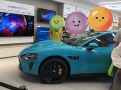 -小米之家汽车(永旺梦乐城店)