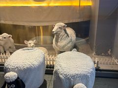 -羊倌毡房·西北大排档(虹桥店)