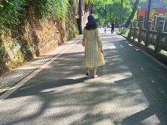 -丰都鬼城名山景区