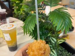 -丁老爷子苏香圆