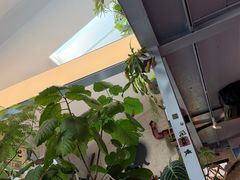 -nodcafe(M50创意园店)