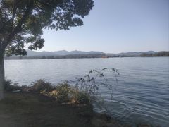 -浙江西子宾馆·瑶园咖啡厅