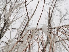 -葫芦古镇关东民俗雪乡