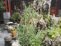 -白家大院·王府宫廷菜(苏州街店)