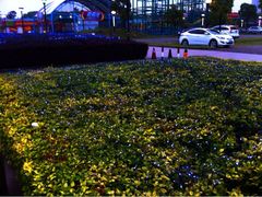 iphone_upload_pic-蠡湖大桥公园