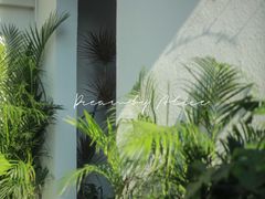 -漫笙舍Manse·咖啡·民宿