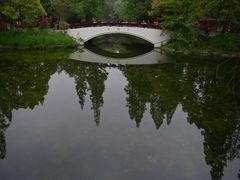 -东平国家森林公园