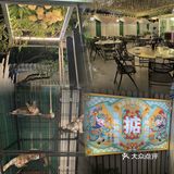 不能错过的蛇口海鲜大排档，🤳亲测无踩雷[加油]