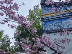 -乌山风景区