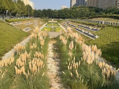 -唐城墙遗址公园