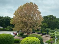 -福建鲤鱼洲酒店