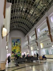 -上海交通大学医学院附属上海儿童医学中心(陆家嘴总院区)