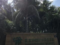 -三亚亚龙湾红树林度假酒店