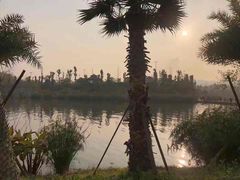 -枫香湖儿童公园