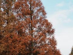 -山王坪喀斯特国家生态公园