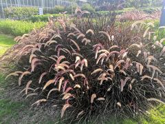 -深圳市人才园(深南大道店)