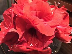 -丽思卡尔顿酒店泳池(金融街店)