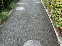 -陈家山荷花公园